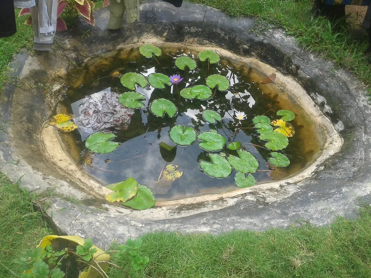 Hostel Yoga Home Negombo